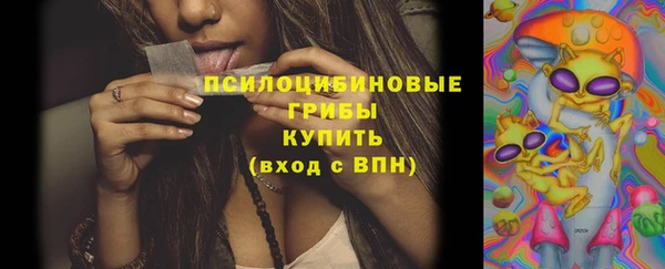 Альфа ПВП Карпинск